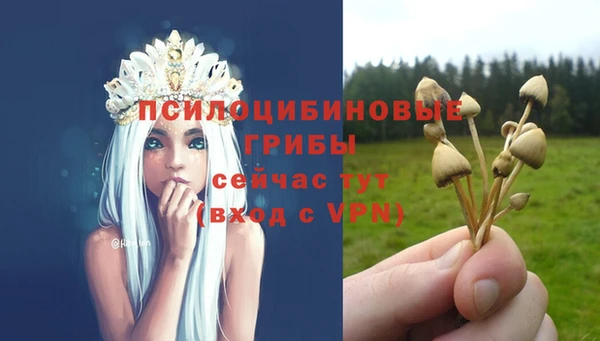 Альфа ПВП Абинск