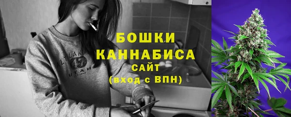 дживик Каменногорск