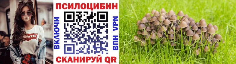 MEGA маркетплейс  Ряжск  Псилоцибиновые грибы Magic Shrooms 